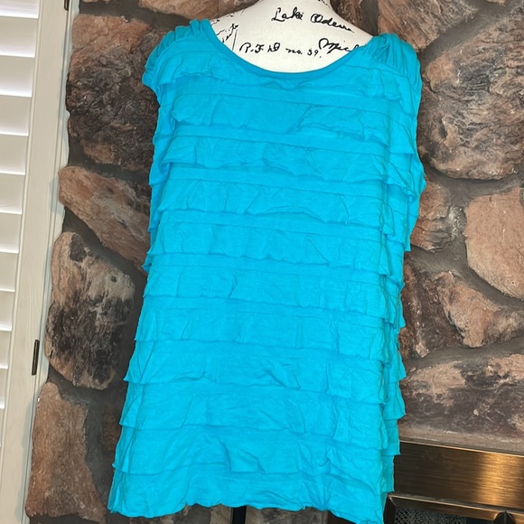 Blue Rafaella blouse - Picture 2 of 3